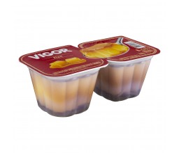 Flan Vigor 190g